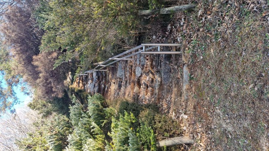 a65520bcdd0131757bd7f86fff460ff1_1766060536_7755.jpg a65520bcdd0131757bd7f86fff460ff1_1766060536_7755.jpg